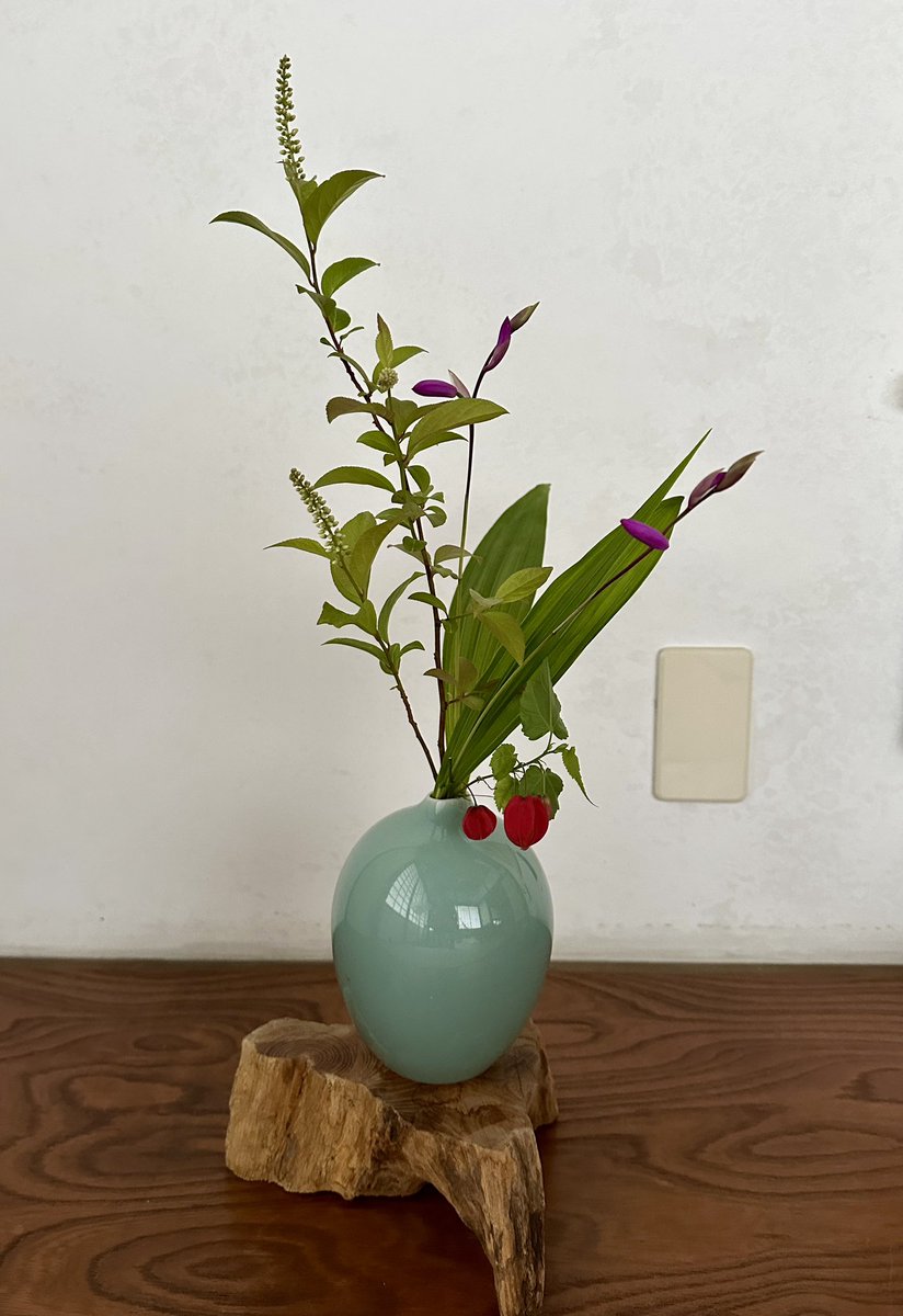 ＧＷを利用しての戒光寺特別参拝と煎茶席体験のお申し込みが続きました。
庭の花が目まぐるしく変わるのですが、今ちょうどその数が少ない時😅でも、ナルコユリが花をつけたので待合に、茶室にはコバノズイナと紫蘭とウキツリボクを生けられました💖