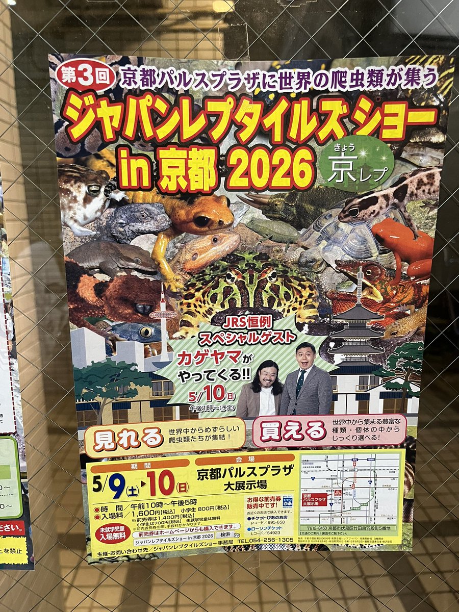 本日、生体着荷の為
営業時間が20時までになります💦

また京レプ出店に伴い5/7-5/11まではお休みです🙇🏻‍♀️

#京レプ
#JRS