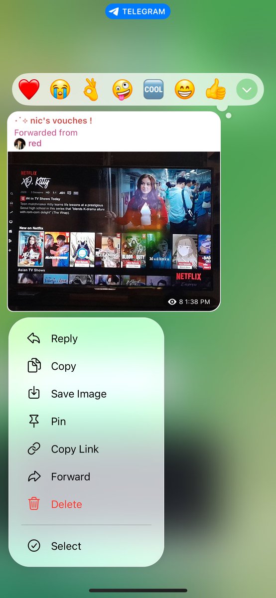premeun_'s tweet photo. ✧: April 9 - Present :✧ #nicproofs 

join here !
https://t.co/VHTkLd34bW

vouches !
https://t.co/UhKhhT5FWv https://t.co/0lFDXl0fZT