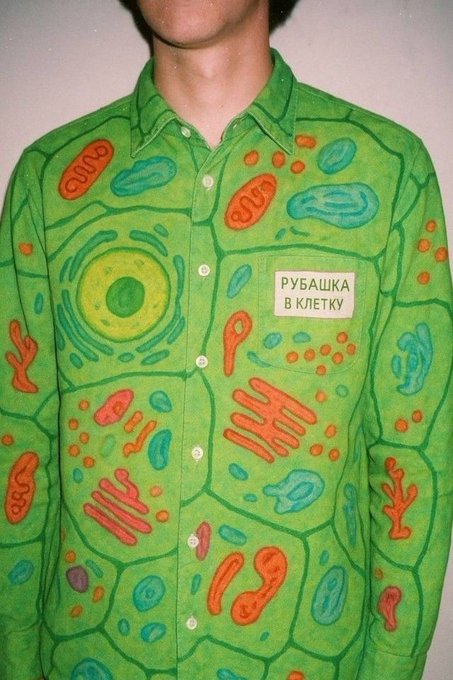 Классицизм и диспансеризация (@hagnir) on Twitter photo 