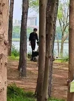 Anotherlurkingryeo tweet media