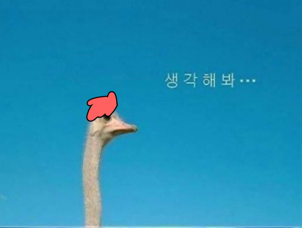 복2) . tweet media