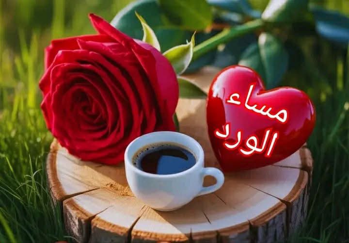 ابو بندر الغنيم tweet media
