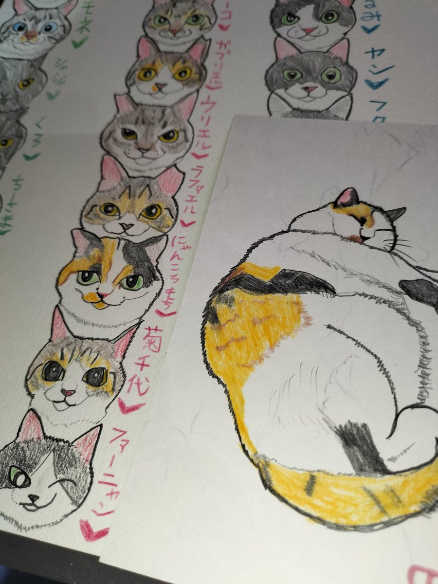 にゃんころもち (@sakura_nyancolo) / Posts / X