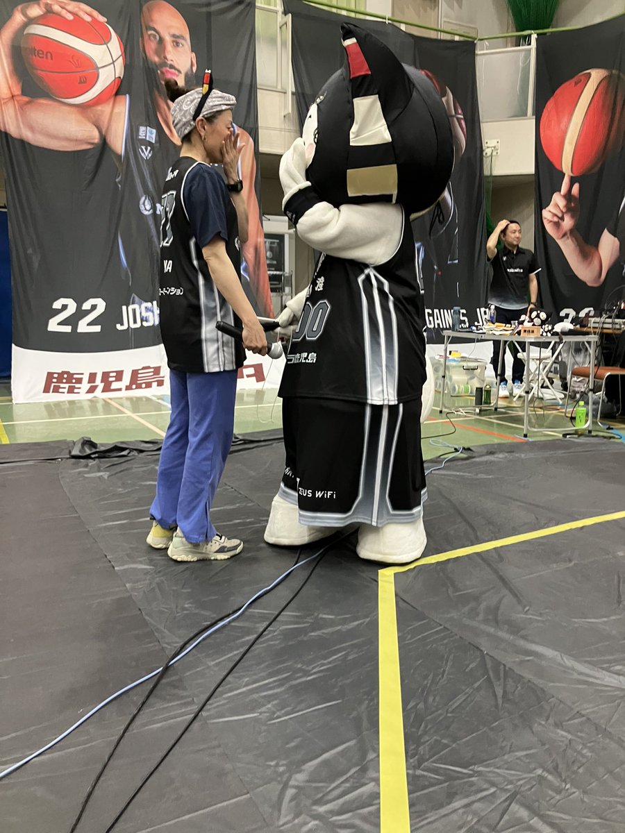 れぶにゃん(鹿児島レブナイズ)【公式】 tweet media
