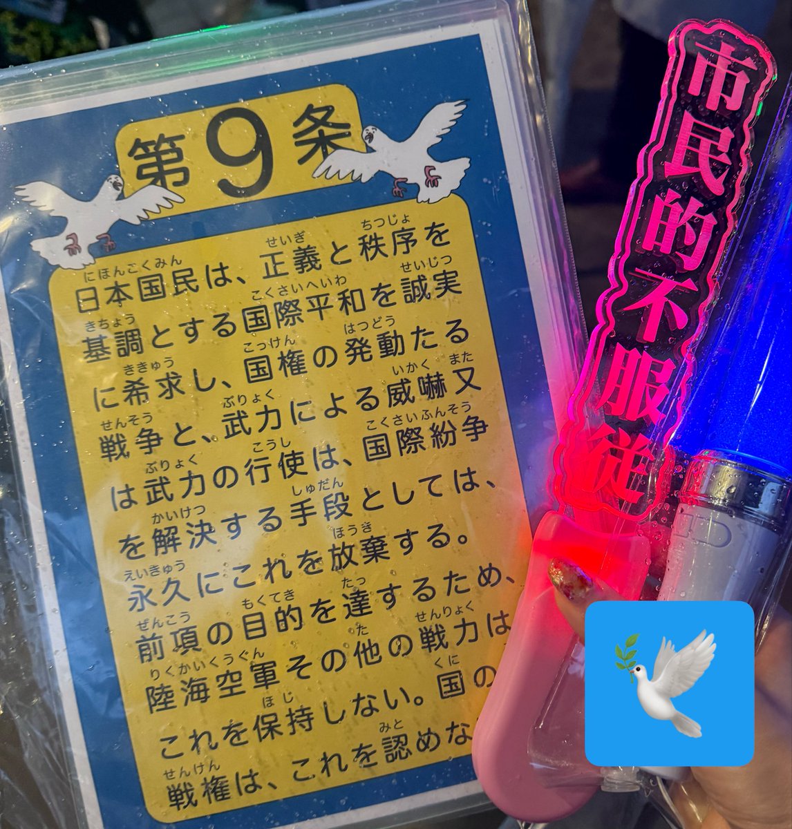 鶴舞公園から矢場町まで歩いてきました🕊️☔️
 #平和憲法を守る0503
 #平和憲法を守る0503名古屋鶴舞