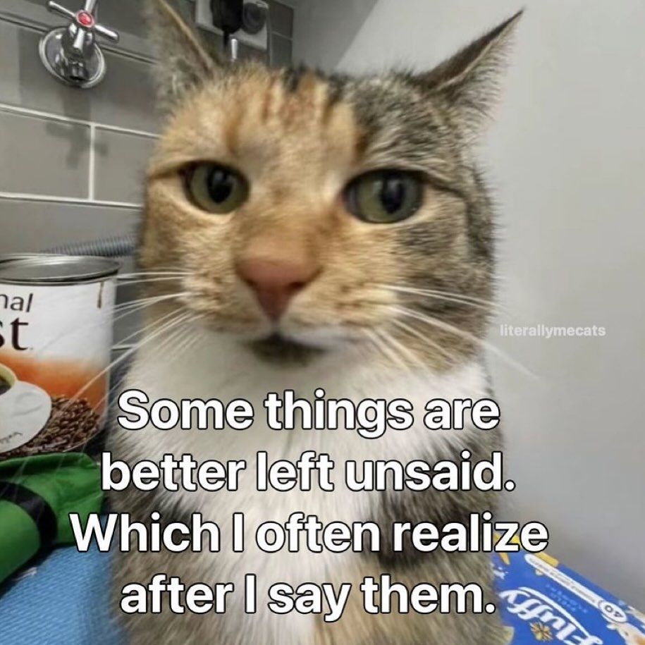 Tweets Of Cats tweet media