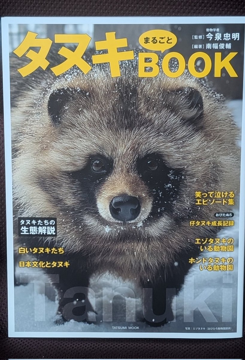 たぬき🦝 tweet media