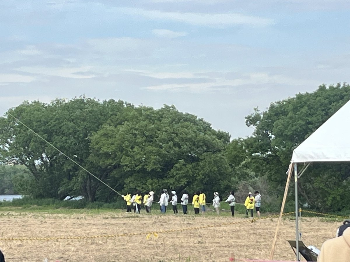 えすみん｜遺品・実家の品を丁寧に査定する鑑定士 tweet media