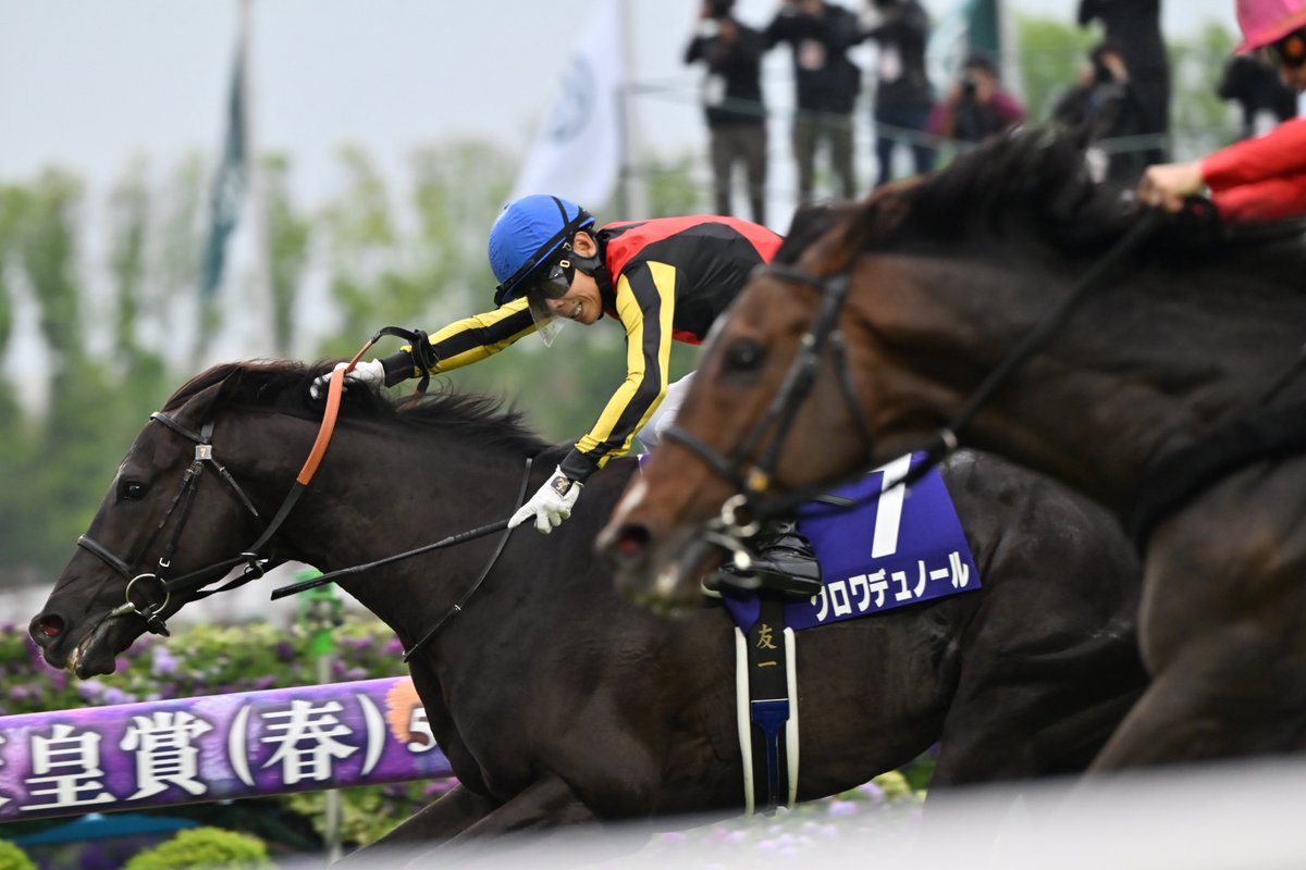 DAICHI MATSUMOTO tweet media
