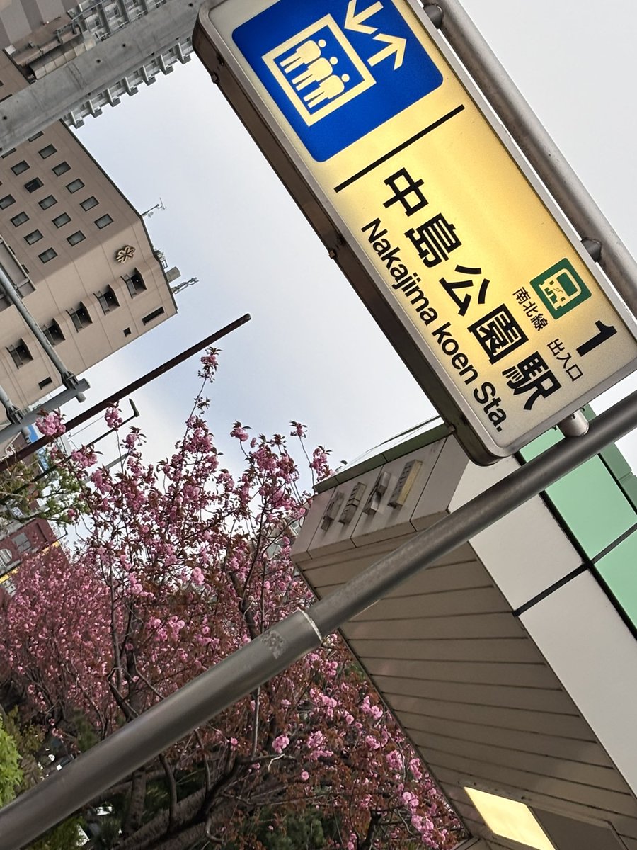 るしあ🐾5月3日 tweet media
