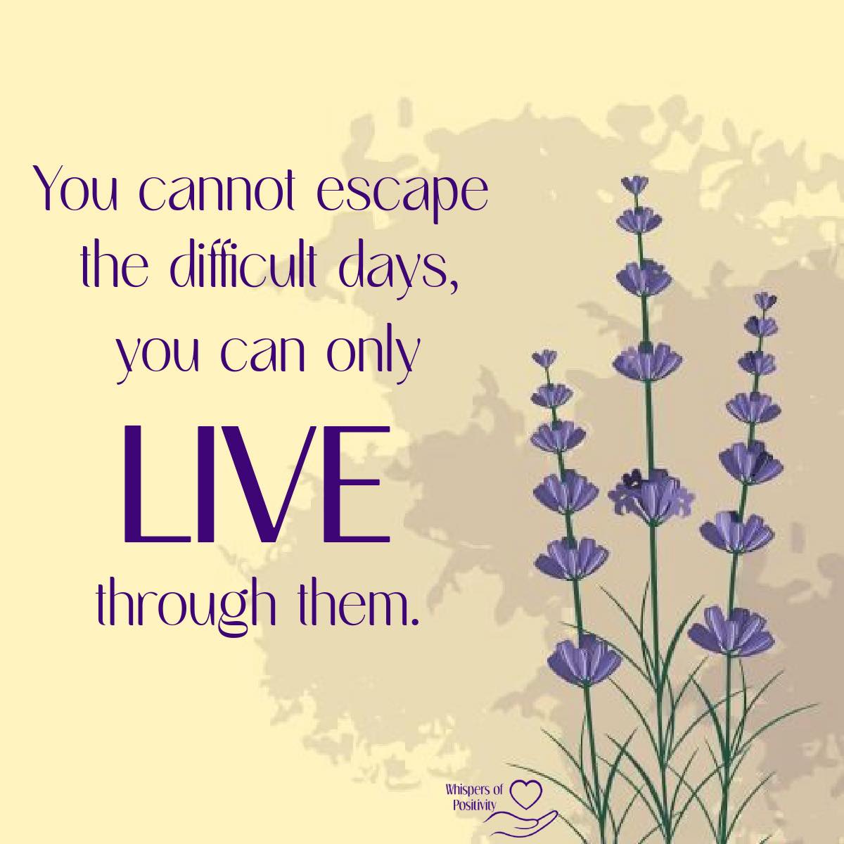 Inspiration & More tweet media