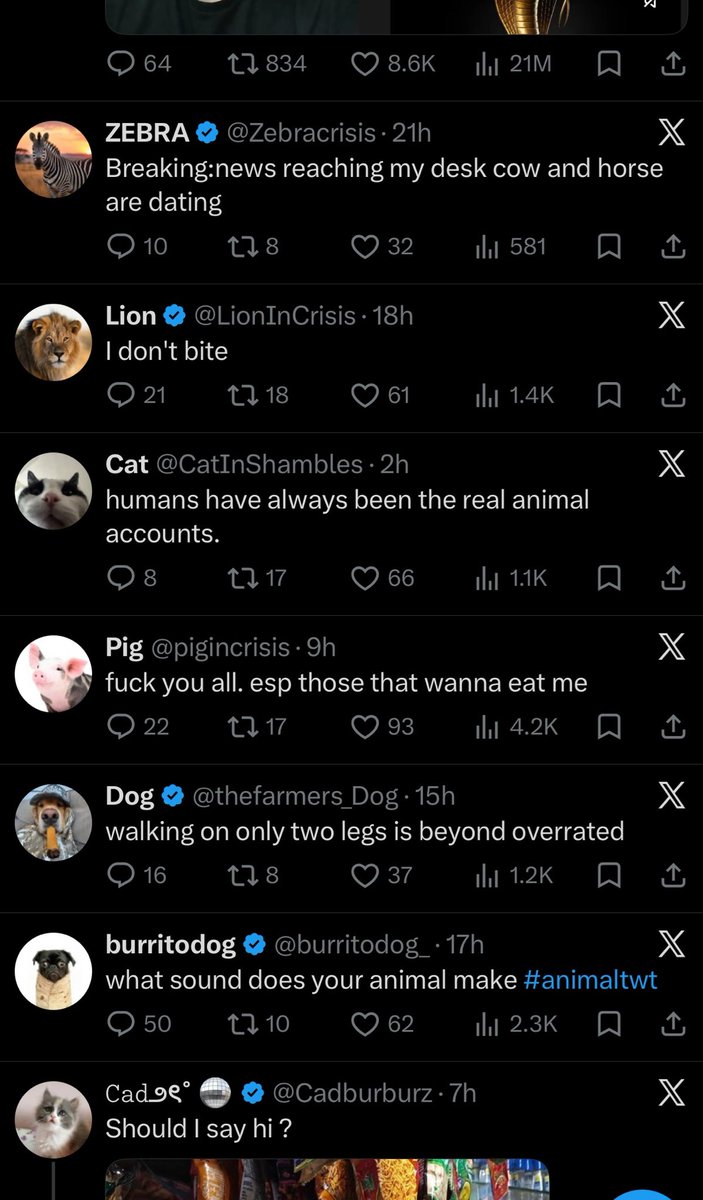 🐻🐻🐻 tweet media