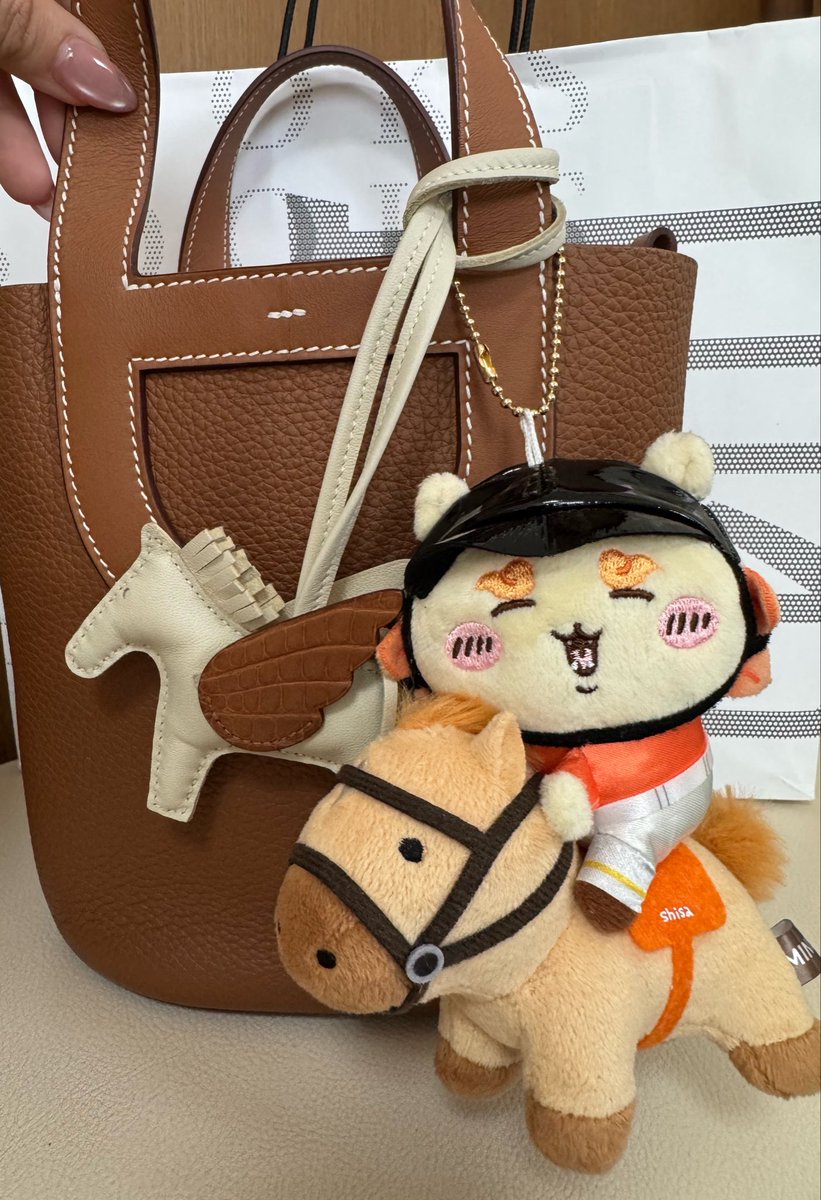 シーサー狂いちゃん🌺 tweet media
