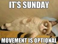 marillion13's tweet image. Happy #SundayMeowing from SW Germany, here it´s about 10.35 am meow, currently we also have sunshine and 16,8°C/62,2°F here, it was rather warm all night long too.
Enjoy your #Weekend, kitty furriends and "hoomins".
💖💖💖
