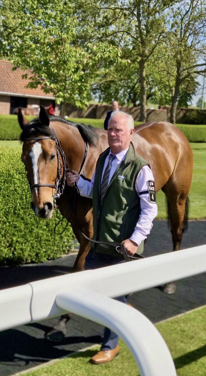 Ally 🏇🏻 tweet media
