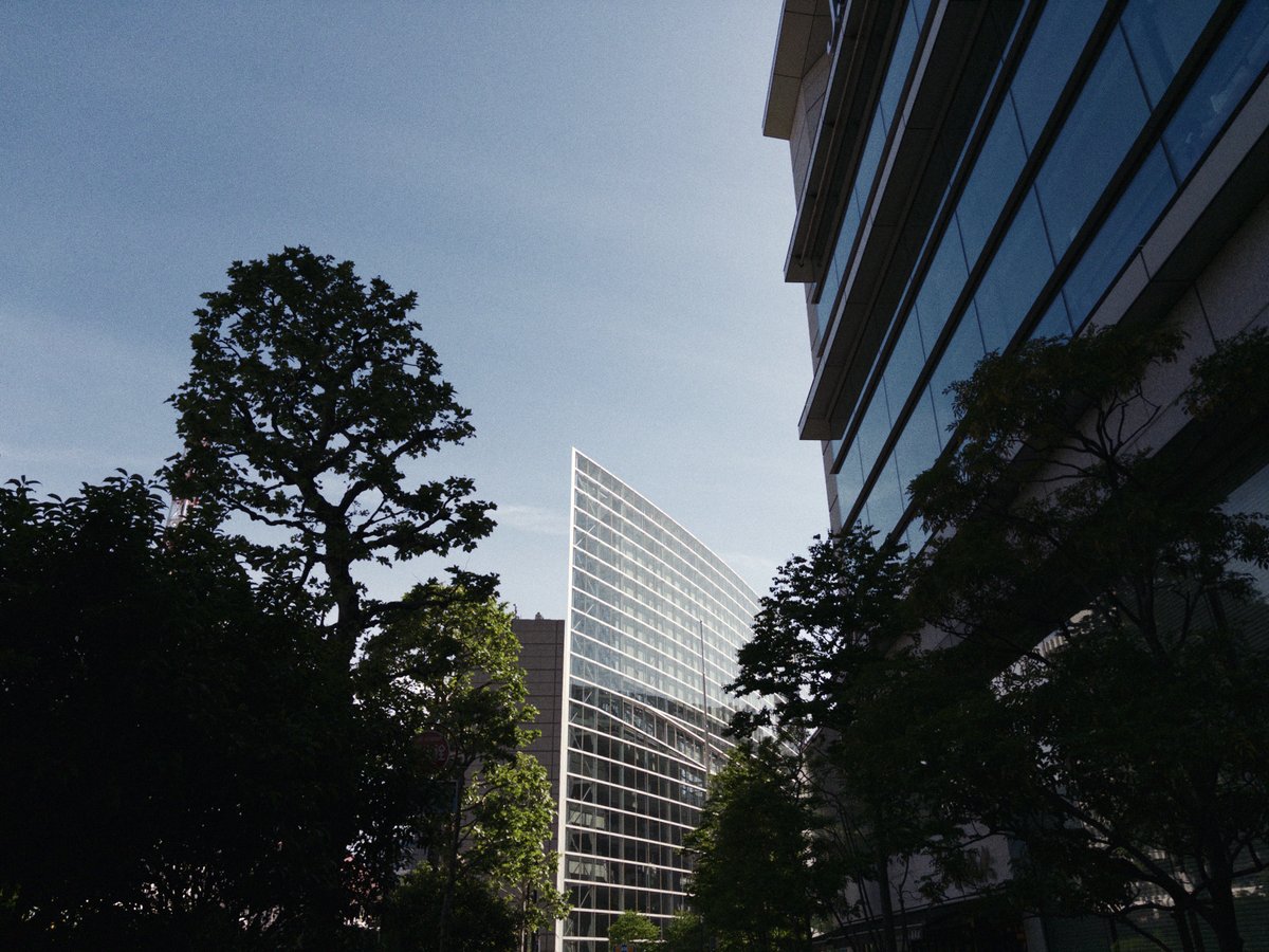 mxkwang's tweet photo. Tokyo / shot on iPhone Air https://t.co/KMzTrYfhEN