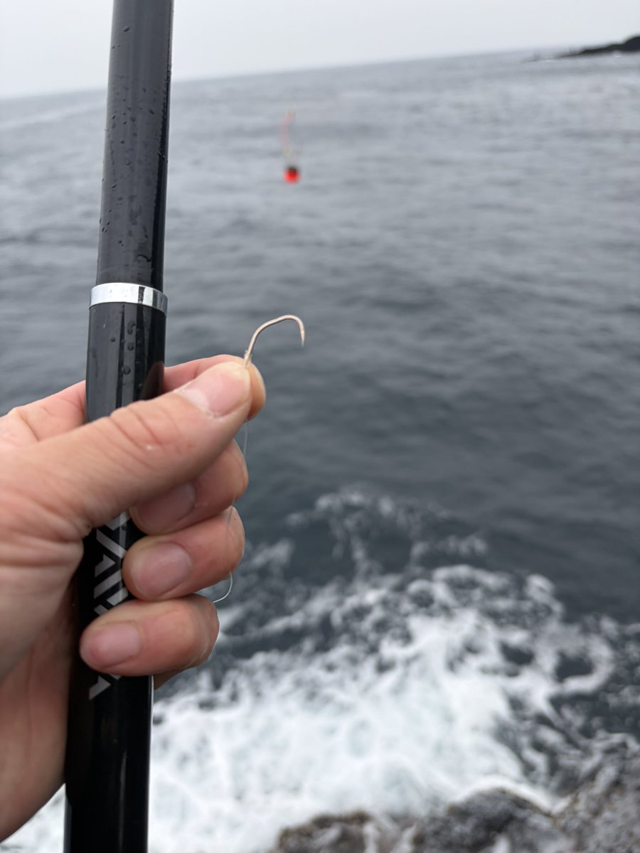 🎣Yuhei tweet media