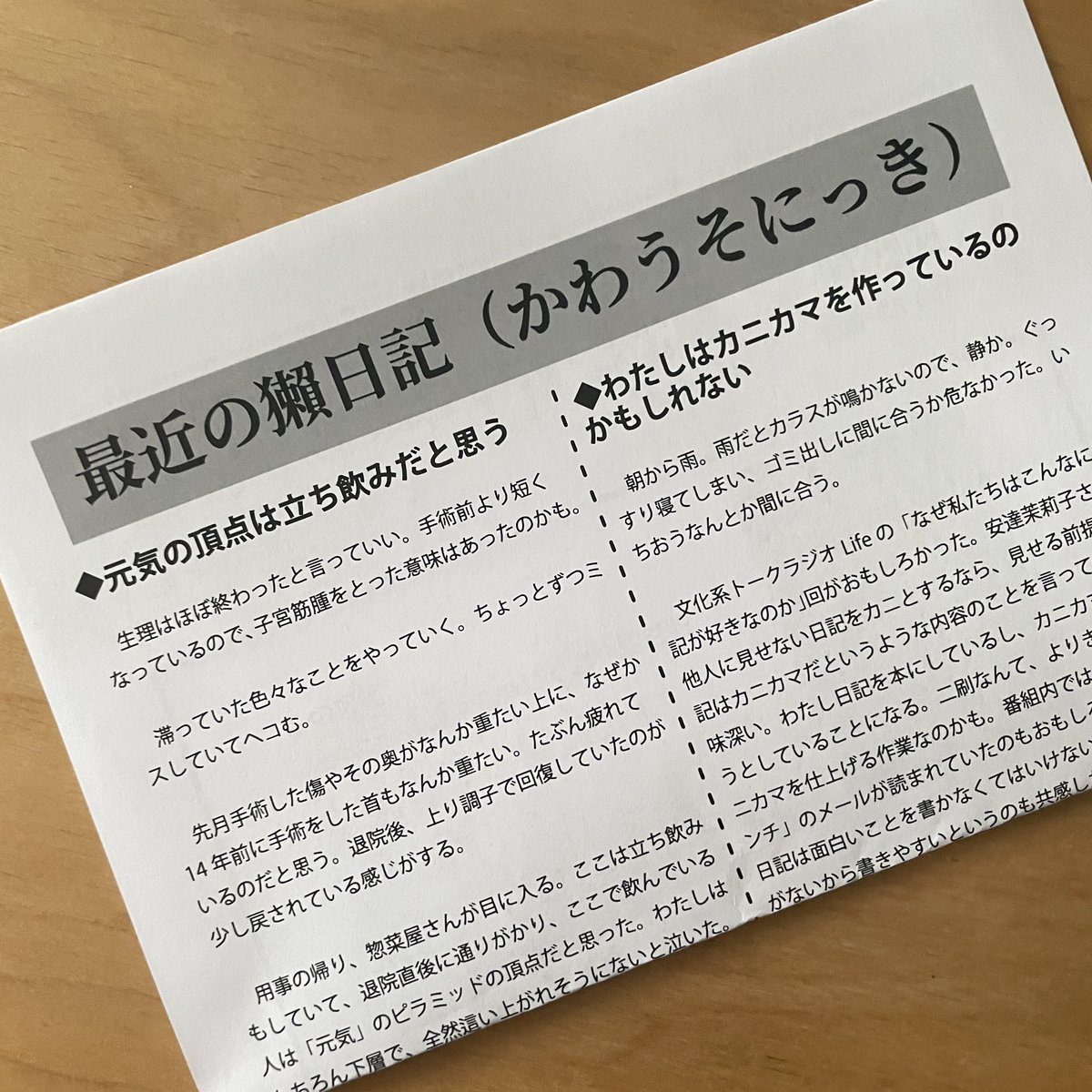 かわうそ　5/4 文学フリマ東京42　ち41 tweet media