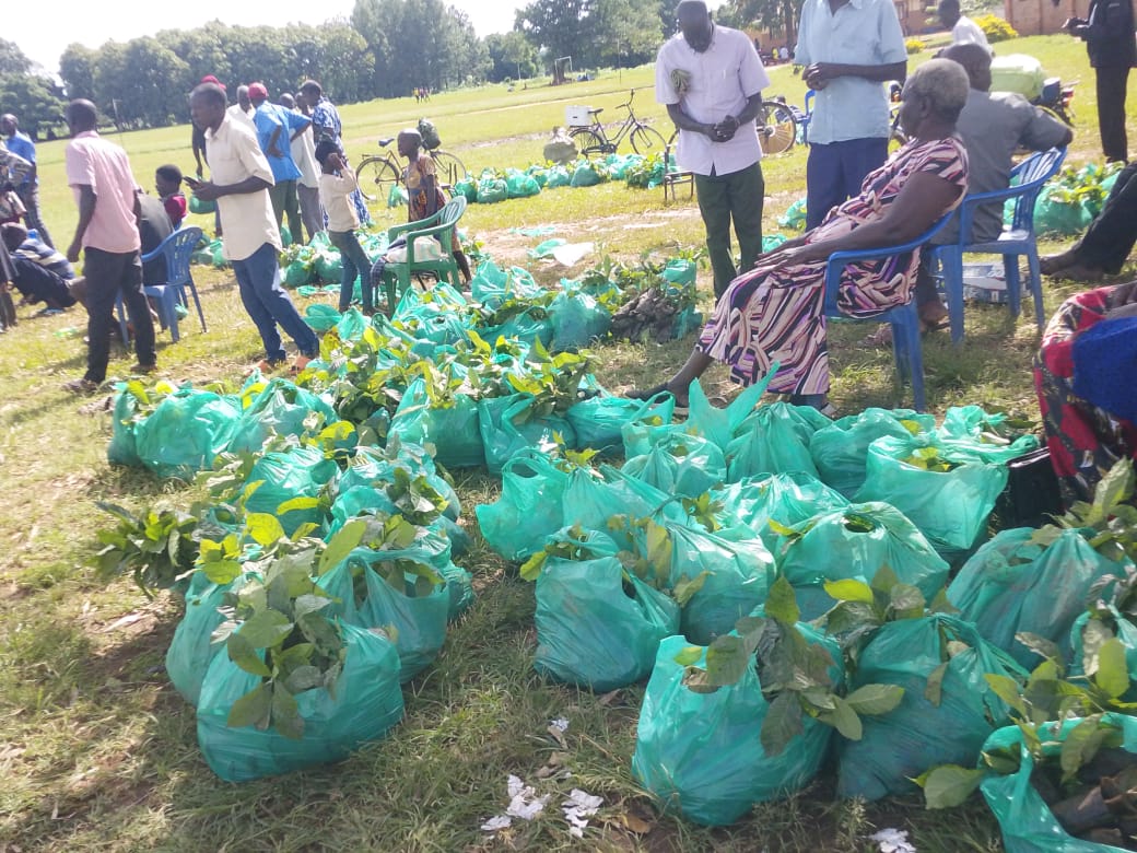 LANGO NEWS NETWORK tweet media