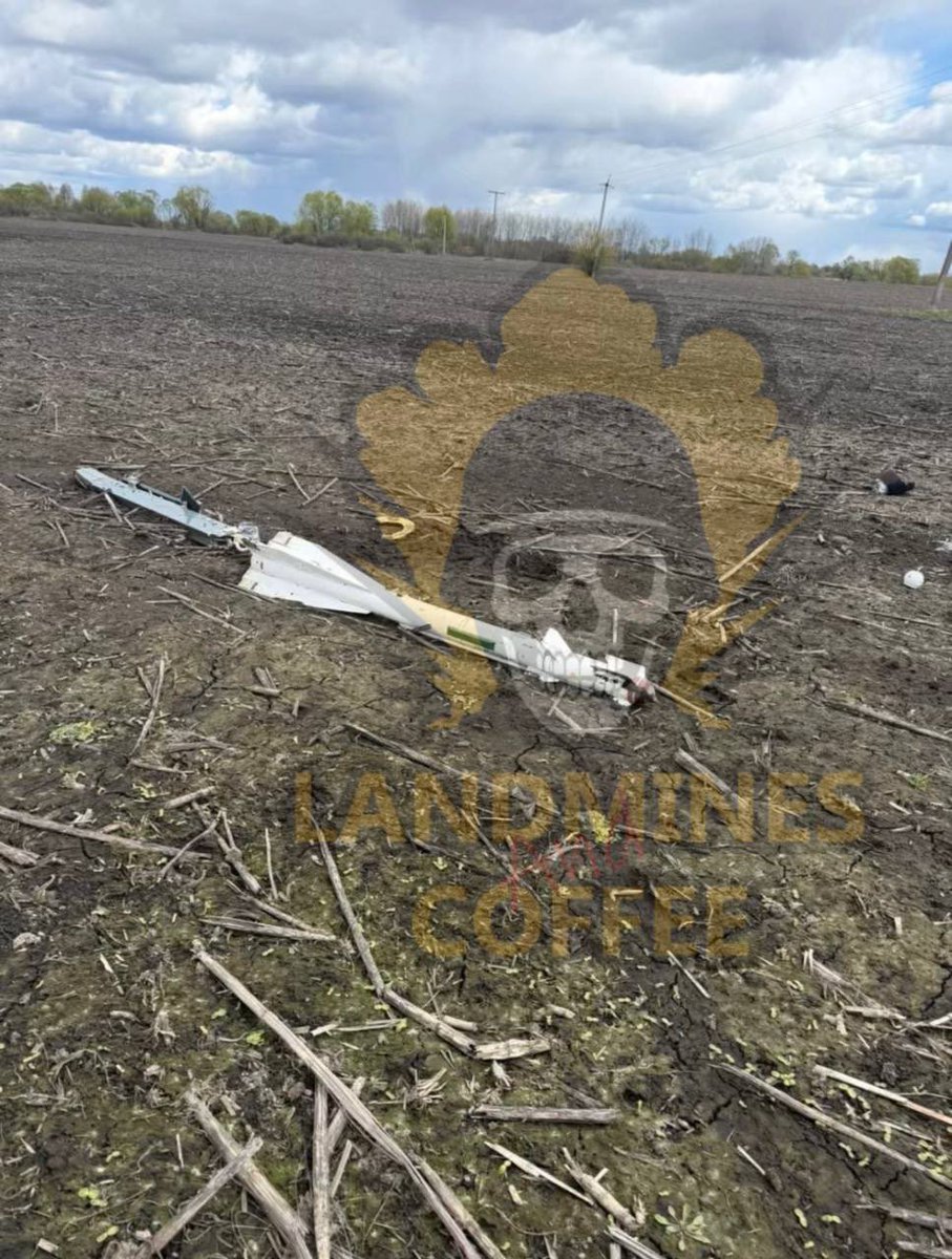 Special Kherson Cat 🐈🇺🇦 tweet media