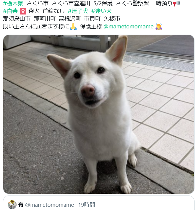 くるみmama tweet media