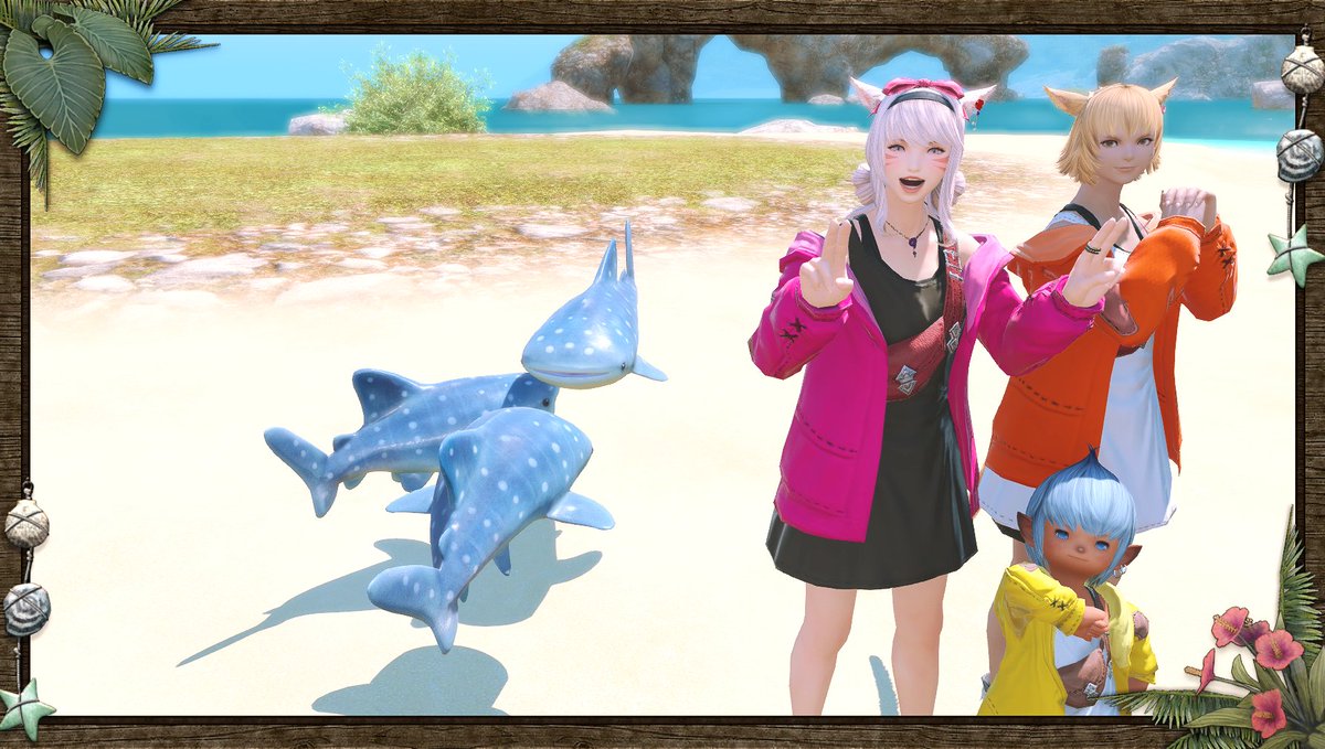 Le_hnlmm's tweet photo. 🦈🦈🦈
#FC_SSR #FF14SS https://t.co/7x1Yco3tNE