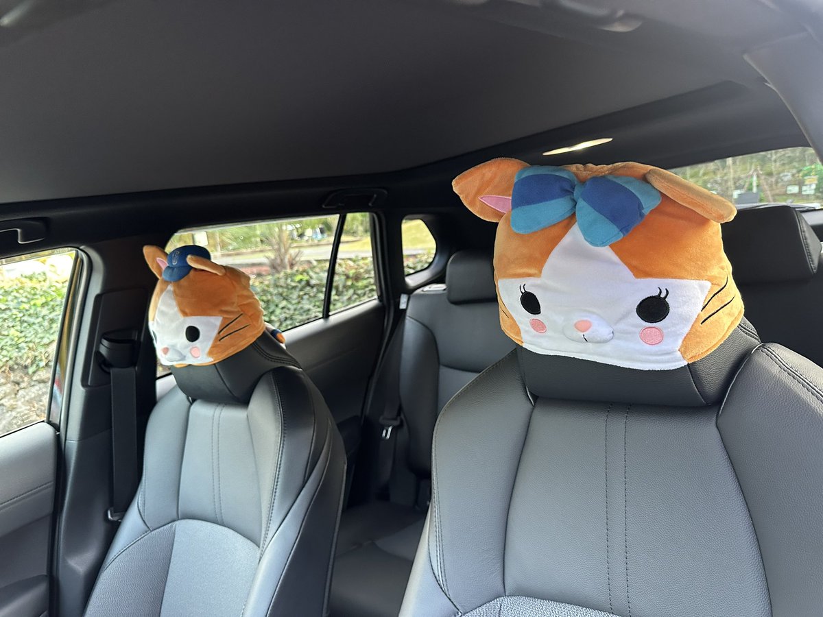 𝟙𝟜𝟙𝓬𝓱𝓪𝓷🚹(ｲｼｲﾁｬﾝ)🧸ྀི🍯👐 tweet media