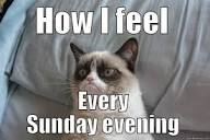 marillion13's tweet image. Happy #SundayMeowing from SW Germany, here it´s about 10.35 am meow, currently we also have sunshine and 16,8°C/62,2°F here, it was rather warm all night long too.
Enjoy your #Weekend, kitty furriends and "hoomins".
💖💖💖