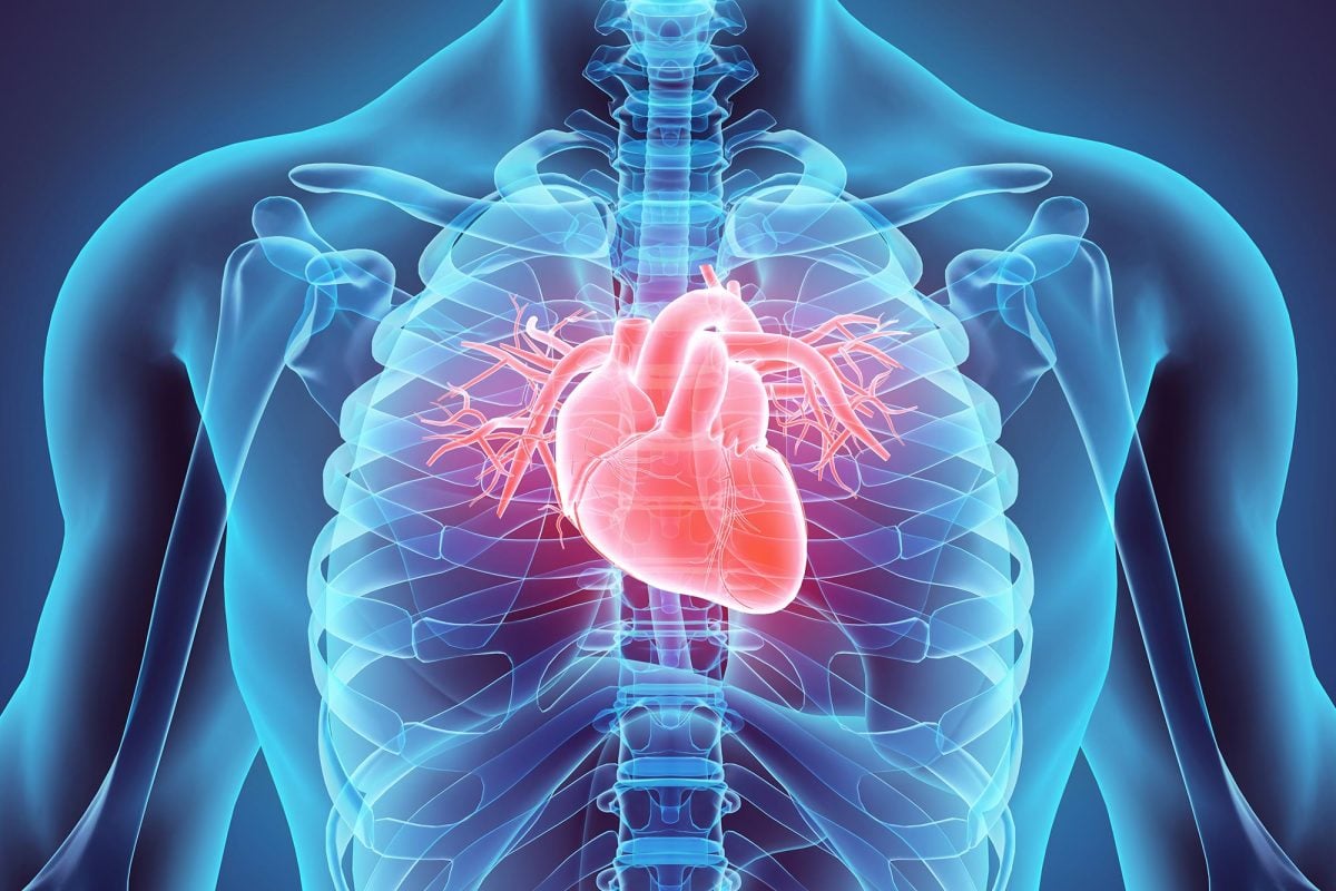 Heart Attach Spring 🚨SHOCKING: World-First study reveals Human Heart can regenerate after a ...