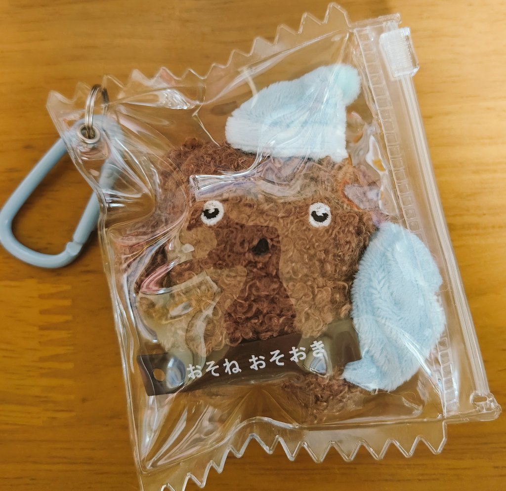 ZUUUN_2's tweet photo. お出かけ用にぶちゃのころっけパッケージングしたけど結構かわいいのでは？？窮屈そうだけど  ナイトキャップと毛布に合わせた水色カラビナかわいい https://t.co/cqxXiwdgk8