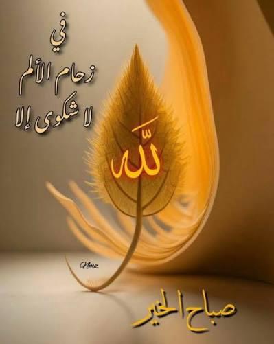 Ziad Hashem tweet media