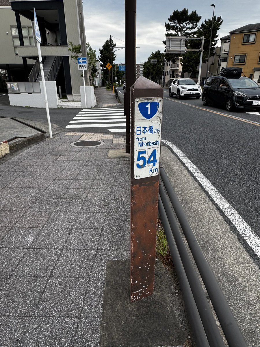 さおり🎻おん tweet media