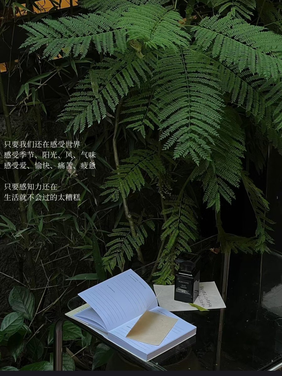 Aref145's tweet photo. Sipping iced coffee, flipping through a novel—my kind of lazy afternoon magic  #ChillVibes #LeisureMoments https://t.co/1QDhco6MVf