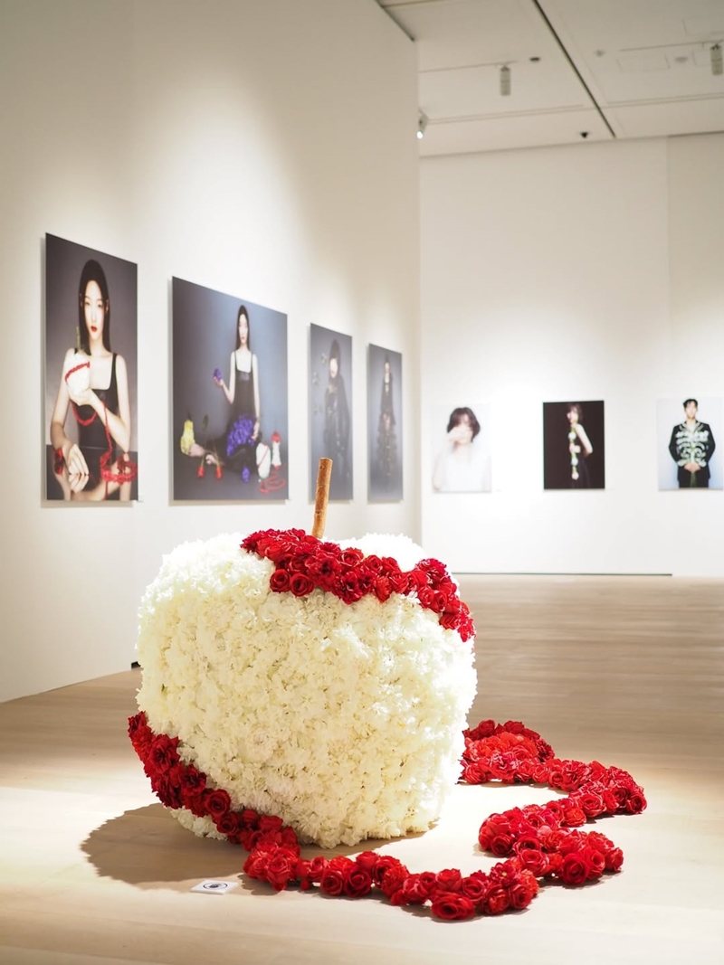 stein208's tweet photo. 한일 배우 62인 기부사진전 ‘Face to Face’ 공개 “고현정·김소현·박신혜·변우석·송혜교·이동욱·이병헌까지”… (출처 : Occult wo.. | https://t.co/BQwPKbjWGs 블로그) https://t.co/iTGadT9kYl #FacetoFace #김영준 #요시다유니 #DDP #이간수문전시장 #기��사진전 #이병헌 #고마츠나나 #고현정 #김소현 #박신혜 #변우석 #송혜교 #이동욱 #이병헌 #기쿠치린코 #나카노타이가 #나가세마사토시 #나가야마에이타 #나츠키마리