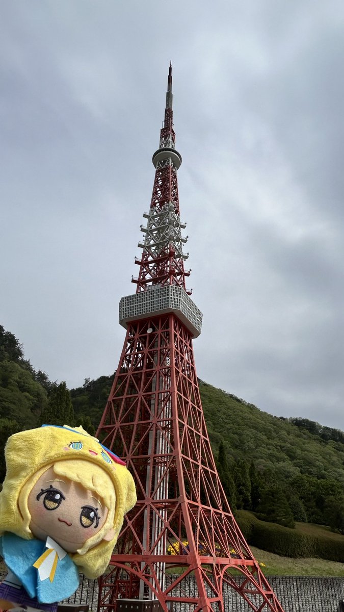 カルフォ tweet media