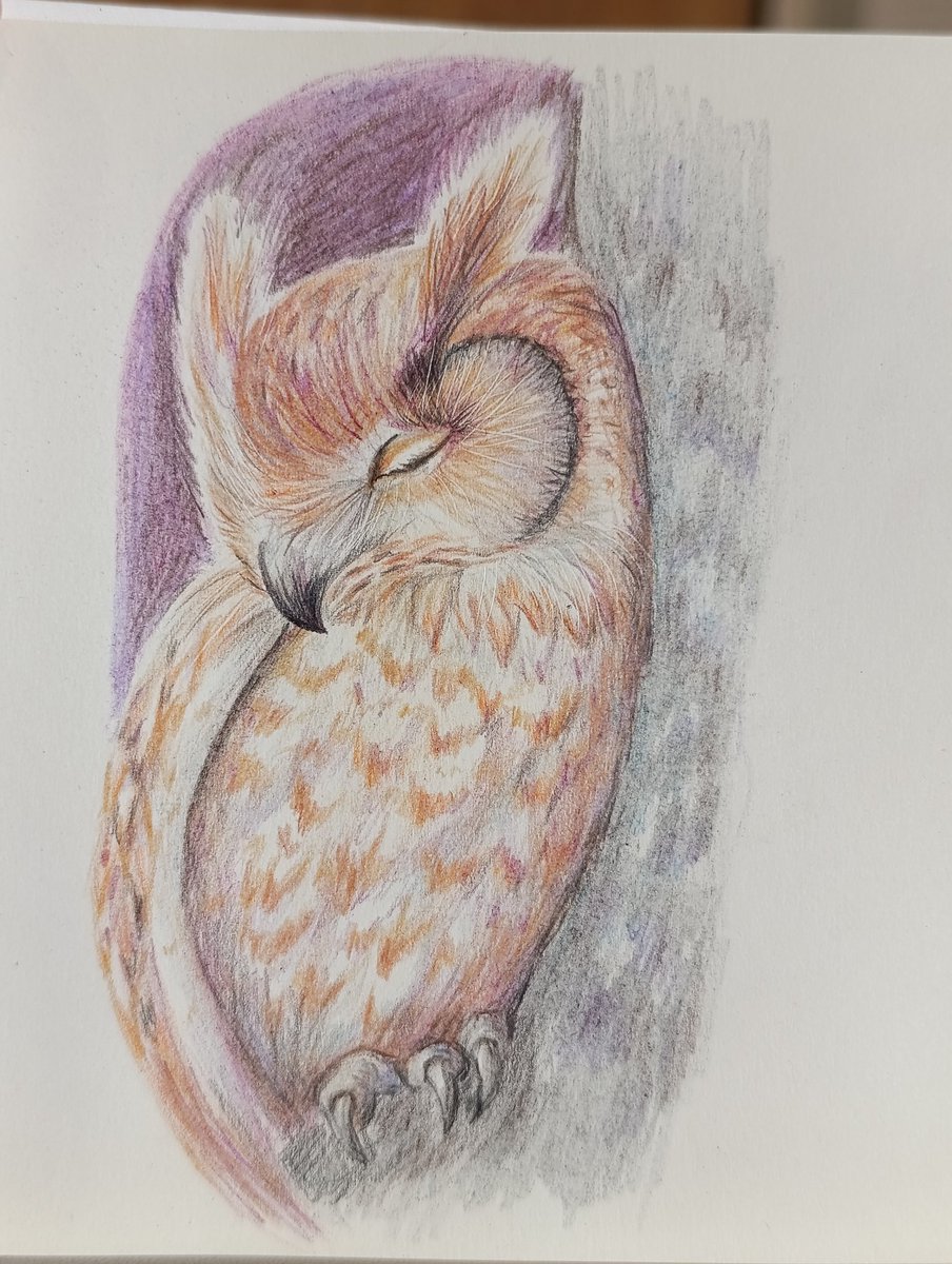 Kiingisha's tweet image. Have a great weekend, friends! 🤗 Get plenty of sleep and eat well.🫰💖

#sketchart #drawing #weekend #owl #animal