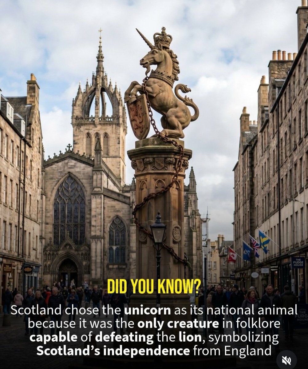 Jeni_m81's tweet photo. #ScotlandFirst #YouYesYet https://t.co/k9iuGTLR37