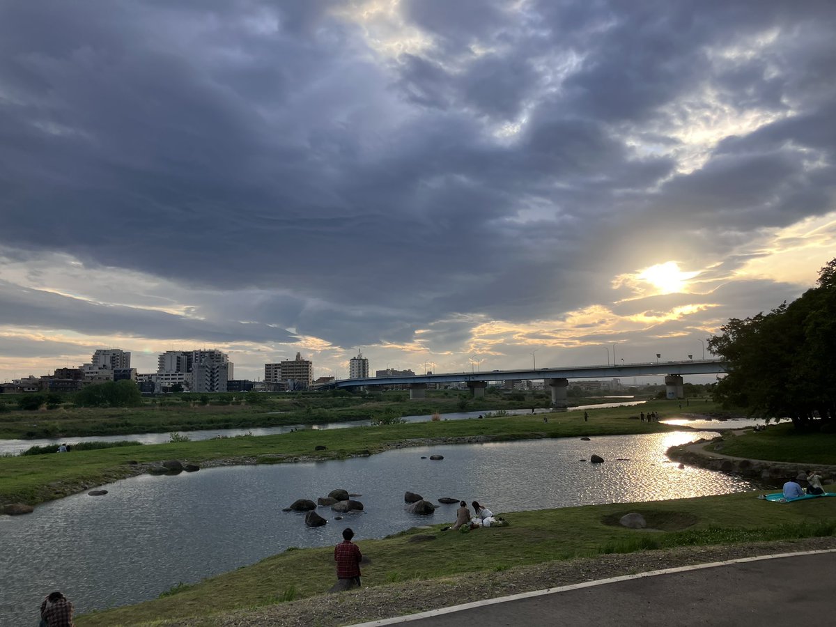 Ferret太郎 tweet media
