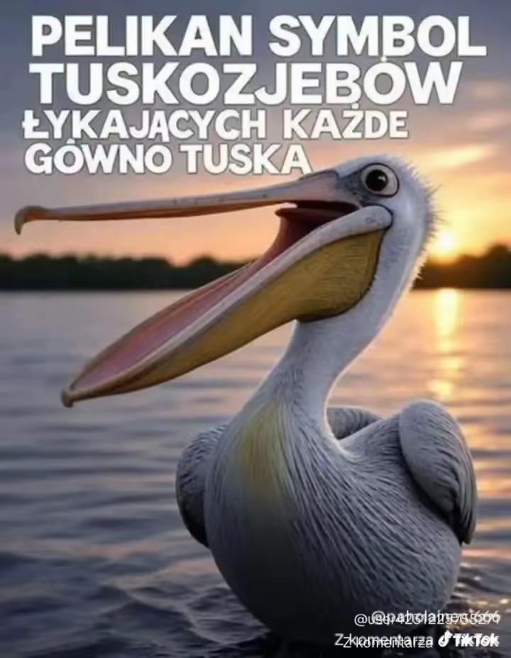 Piotr tweet media