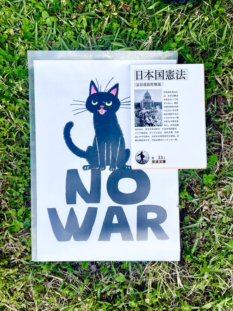 em_es_ny's tweet photo. 今日は有明へ行きました。
#憲法大集会2026
#PeaceConstitution
#Article9 https://t.co/KGSg3dphY8