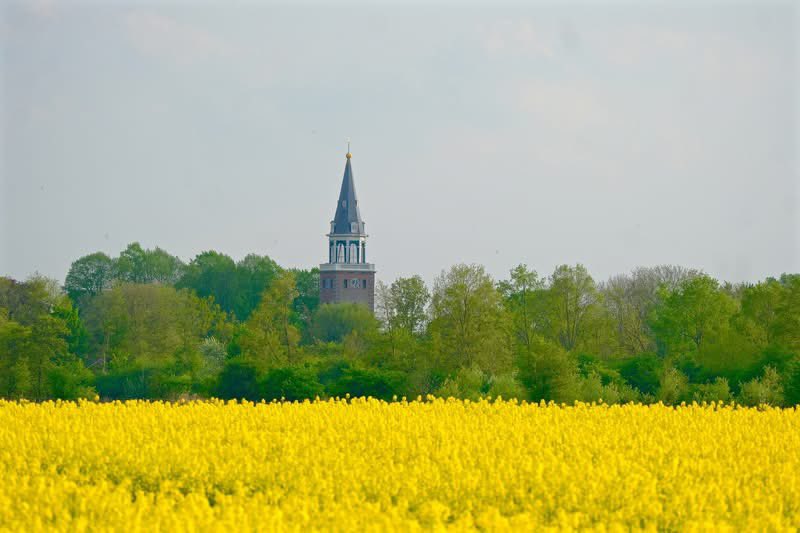 Mooigrunnen® tweet media