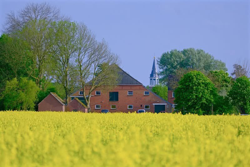 Mooigrunnen® tweet media