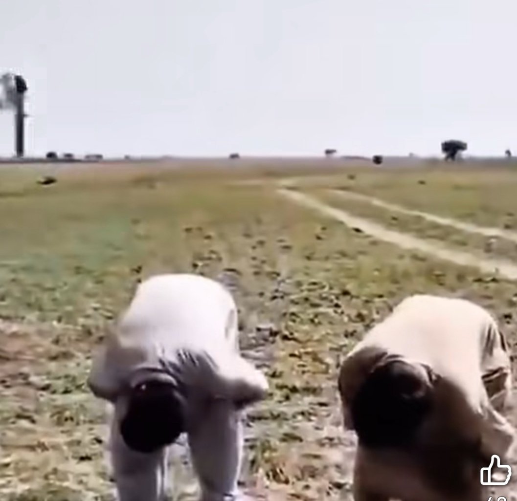 𝐁𝐞𝐩𝐞𝐞𝐫 🇵🇰 tweet media
