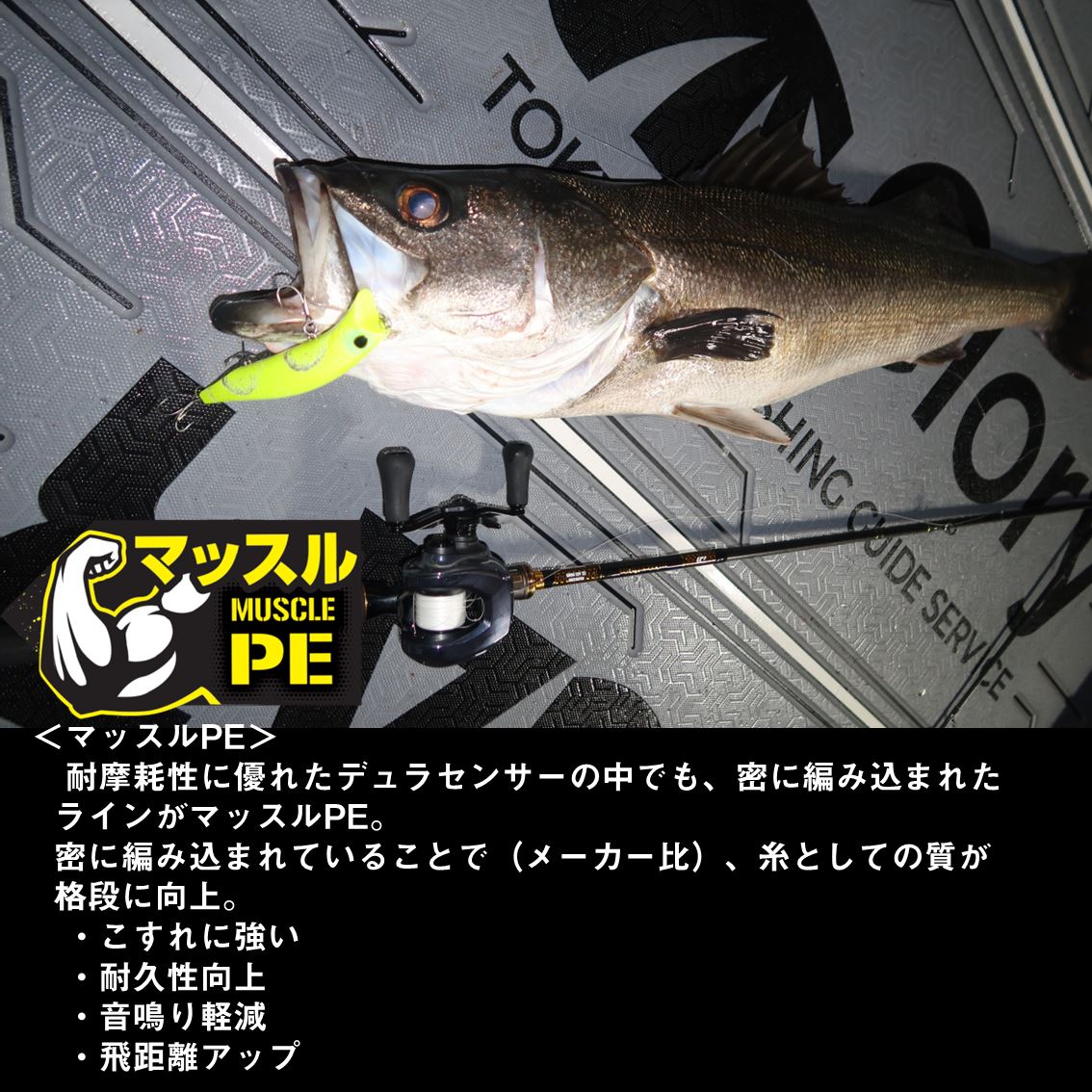 世良勇樹 Glory tweet media
