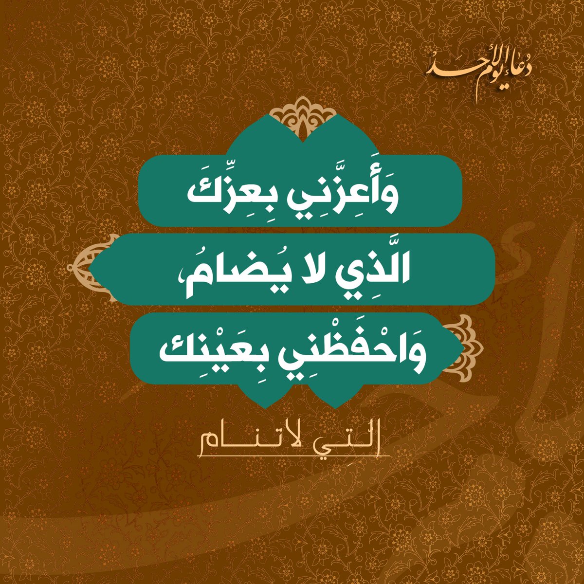 السيد محمد حسين فضل الله (رض) tweet media