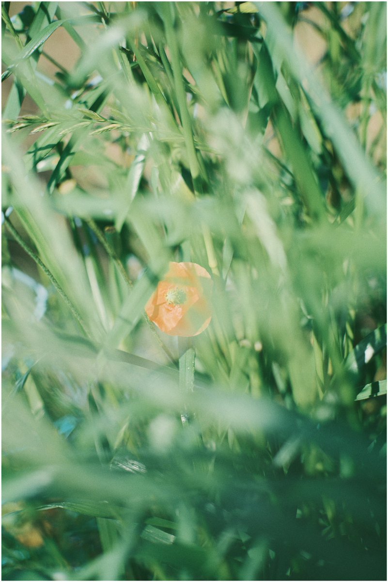 じふ / takaya fujiyama tweet media