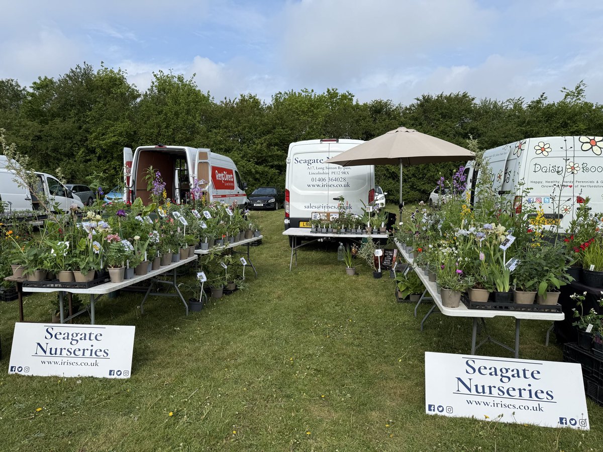 IrisesSeagate's tweet image. All setup at Norfolk Plant Heritage Plant Fair at Hethersett Village Hall, NR9 3JJ Open 10am-1pm it’s packed with lots of great plants and nurseryman to tempt planting after a shower of rain last night! @Plantheritage #norwich #norfolk #plantfair #peatfree #sundaydayout