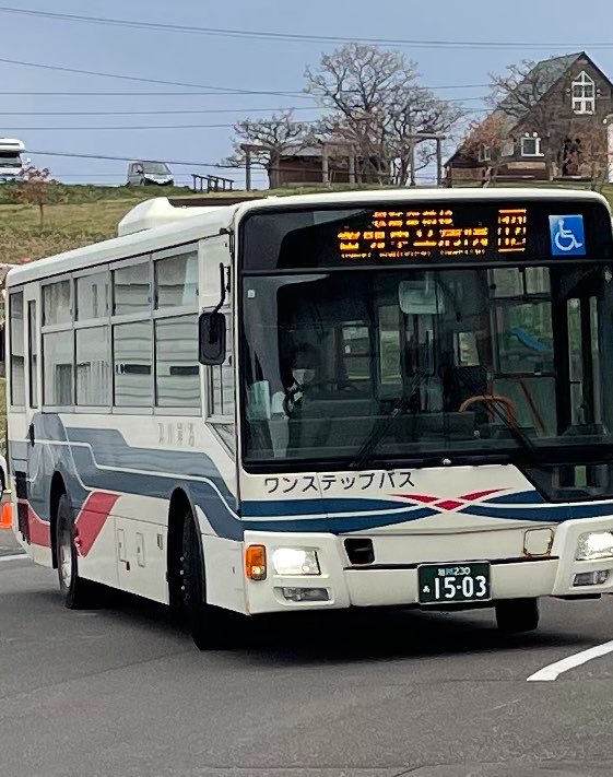 ぴちぴち tweet media