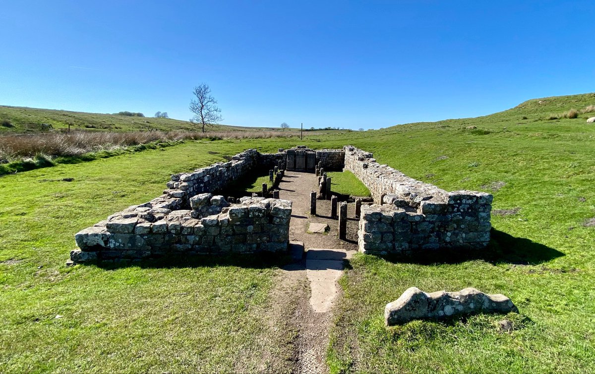KatesfWriter's tweet image. The Temple of Mithras served soldiers at #Brocolitia Roman fort (Carrawburgh) and civilians living in the vicus c AD 200-350.
Brocolitia is one of 16 large forts on Hadrian's Wall. It housed a 500-strong auxiliary cohort from AD 130.
📷 my own.
#RomanBritain #Archaeology